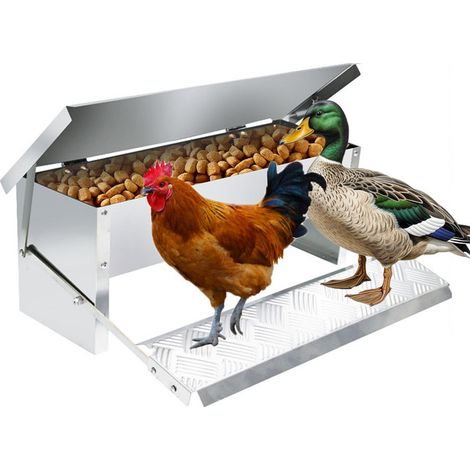 Mangeoire Automatique pour Poules en Acier Inoxydable - Distributeur de Nourriture Anti-Nuisibles pour Volaille