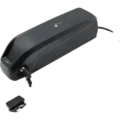 Batería recargable, capacidad de 30 Ah, compatible con sistemas Hailong, cargador de 48 V-30 Ah (1/2)