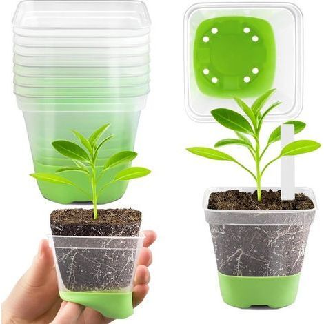12 pots de culture transparents de 8 cm – Mini pots à plantes avec fond en silicone – Pots carrés réutilisables pour semis et plantes grasses – Verts (1/5)
