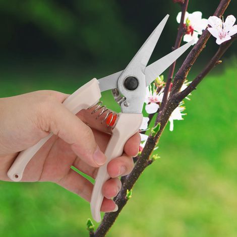 Sécateur en cuir Golden Eagle, Sécateur pour arbres fruitiers, Sécateur de jardin, Sécateur pour branches courbées, Sécateur horticole, Sécateur pour arbres fruitiers, Sécateur à écorcer (1/3)
