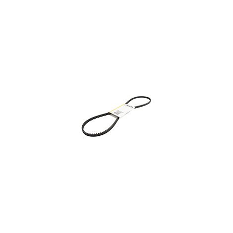 Cinghia GGP - CASTELGARDEN 1134-9171-01