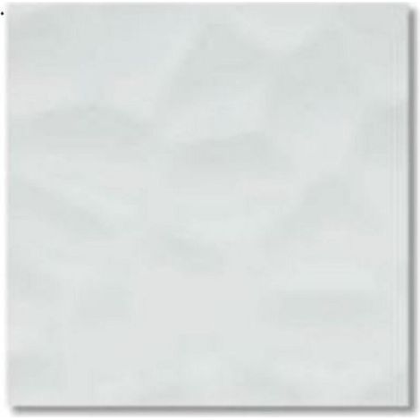 Echantillon faïence blanche brillante COLOR ONE / SYSTEM (Décor penta relief) - Coloris: blanc brillant décor relief penta