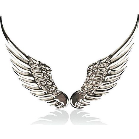 Lot de 2 emblèmes ailes d'ange 3D pour voiture, logo et accessoires de moto (argent) - Compatible avec Jeep, Dodge, Mercedes, BMW, Mustang, Volvo, Chevrolet, Nissan, Audi, VW, Ford, Honda, Toyota et J (1/4)