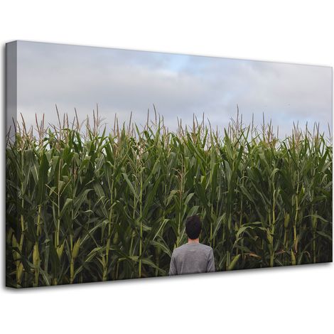 Lienzo impreso Naturaleza Campo de maíz 80x50 cm