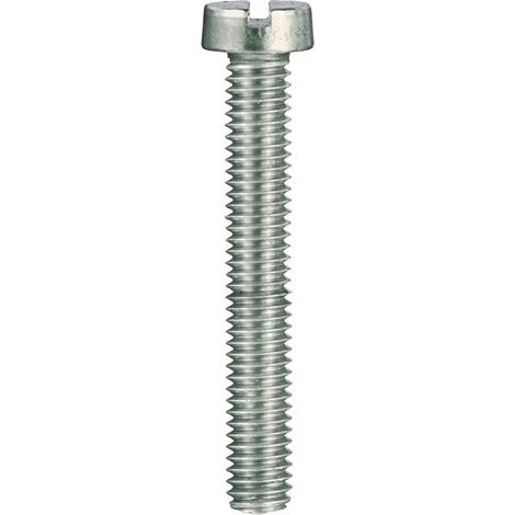 Viti per metallo testa cilindrica Inox 4 x 30 - 13 pz.