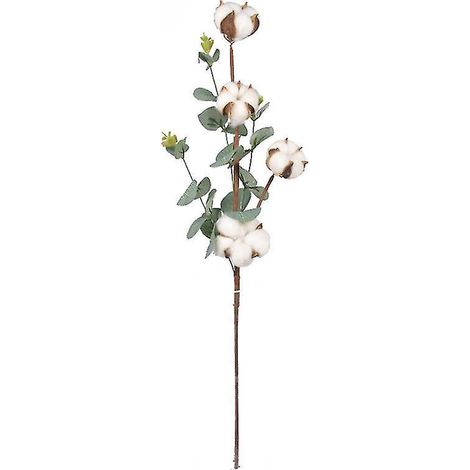 1 branche de coton, feuille d'eucalyptus, fleur (1/3)
