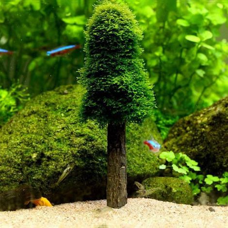 Arbre De Noël - Décoration Pour Aquarium - Support Pour Mousse - Hauteur 12,8 Cm - Diamètre 1,2 Cm - Blanc - 1 Pièce (1/5)