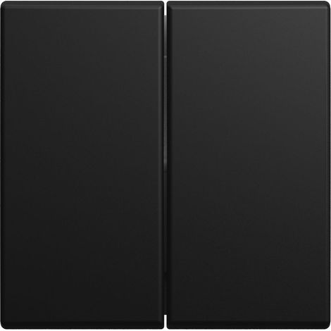 Busch Jaeger Wippe Serienschalter 2505-915 schwarz matt (1/3)