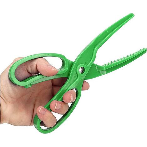 Pince-ciseaux de pêche multifonction étanche avec coupe-fil et dégorgeoir, verte (1/5)