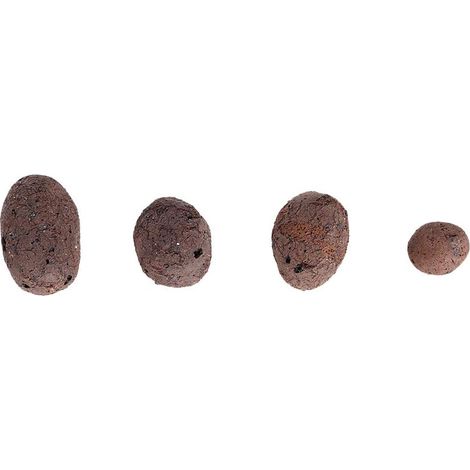Hydroponic clay pebbles, growing medium, clay rocks (1/5)