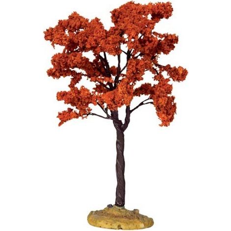 Yellowwood Tree, Medium Cod. 44799