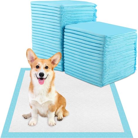 Alaise pour Chien, 40 Pièces Tapis Absorbant Chien, 60 x 60 cm Tapis de Propreté Chien Tapis Educateur Absorption Rapide Inférieure Imperméable Anti-Fuite (40, 60) (1/5)