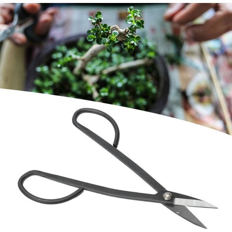 Ciseaux de Jardinage pour Taille des Petites Branches et du Bambou - Parfait pour la Pruning des Pins Noirs, des Buis et des Bonsaïs-KZQ (1/2)