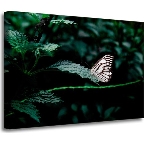 Leinwanddruck Natur Schmetterling auf einem Blatt 70x50 cm