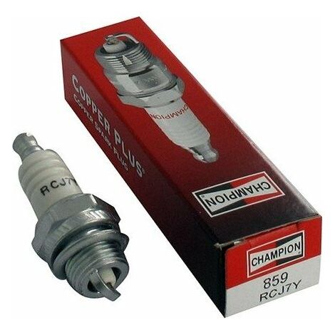Champion RCJ7Y spark plugs are compatible with NGK BPMR7A and TASHIMA 2209841, ensuring easy cold starts. (1/3)