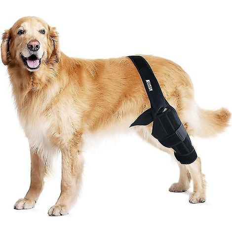 Attelle pour genou, patte arrière et hanche de chien (liège croisé antérieur déchiré) - Taille S