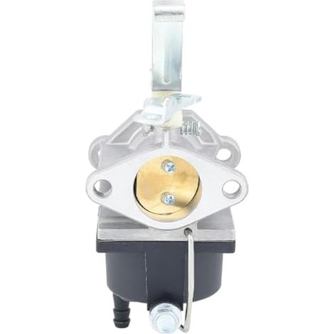 Compatible avec le remplacement du carburateur TVT691-600810B pour Tecumseh TC-640221 La plupart des modèles OV691EA et TVT691 OV691EA-600804C (1/4)