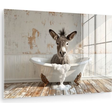 QUADRO IN PLEXIGLASS Asino - Animali - Vasca da bagno - Schiuma 60x40 cm (1/5)