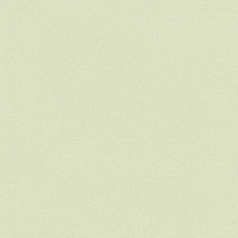 Rasch Wall Textures V 447538 Papier peint intissé Uni 10,05 x 0,53 m Vert Salon Couloir Bureau Cuisine Salon (1/5)