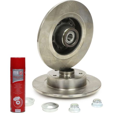DISCHI FRENO con cuscinetto posteriore 2401100389B-PCS-MS 2 pz (1/5)