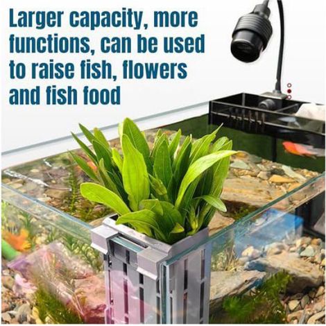 Supports Plantes Aquatiques 4pcs, Ventouses/Crochets, Aquarium/Hydroponie, Ajustable Hauteur (1/5)