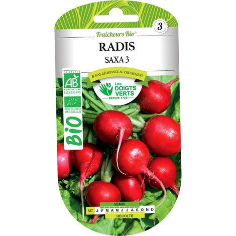 Semillas de rábanos saxa 3 BIO Los Dedos Verdes (1/2)