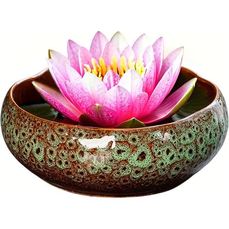 Cuenco Lotus, maceta de cerámica para plantas hidropónicas - Cuenco grande de té Lotus verde [cerámica estilo vintage] (1/2)