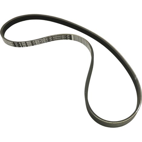 OR 5802039987 cinturino Fiat Micro-V (1/2)