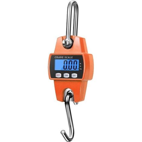 Balance à grue 300 kg, balance suspendue numérique avec écran LCD, peson électronique en acier inoxydable, crochet amovible pour charges lourdes (1/5)