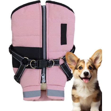 Winter Dog Jacket, Waterproof and Warm Dog Clothes, Warm (1/5)