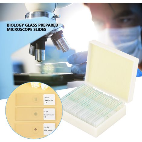 25 präparierte Glasobjektträger für biologische Laborproben, mit Box (1/5)