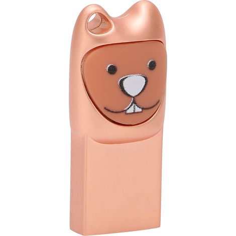 Clé USB 2.0, motif dessin animé mignon, avec adaptateur pour Android, Plug and Play, or rose, 16 Go (1/5)
