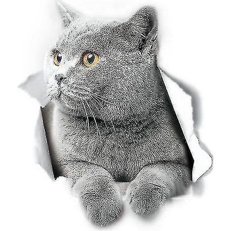 Wandaufkleber mit Britisch-Kurzhaar-Katze, Toilettenaufkleber mit Britisch-Kurzhaar-Katze, 3D-Katzenaufkleber für Autoscheiben und Stoßstangen (2 Stück)