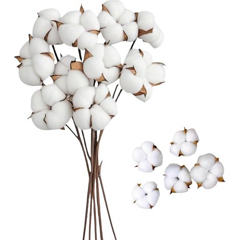 10 Pcs Fleurs de Coton Séchées avec Tige et 5 Tête de Séchées Coton Decoration Blanc 42cm pour Décoration de Vase et Balcon Maison Table Composition Florale, décoration D'intérieur (1/5)