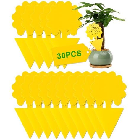 Lot de 30 Pièges à Insectes Jaunes Double-Face, Attrape Autocollants Aucunely (1/5)