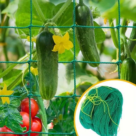 Filiyano-Filet d'escalade pour jardin botanique à 18 fils, 2,7 m × 1,8 m, filet d'escalade renforcé avec ourlet pour usage domestique 2,7 m × 1,8 m (1/5)