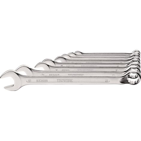Jeu de clés polygonales à cliquet 12 pièces, TA 10-32 mm, forme B, acier CV, TECWERK (1/3)