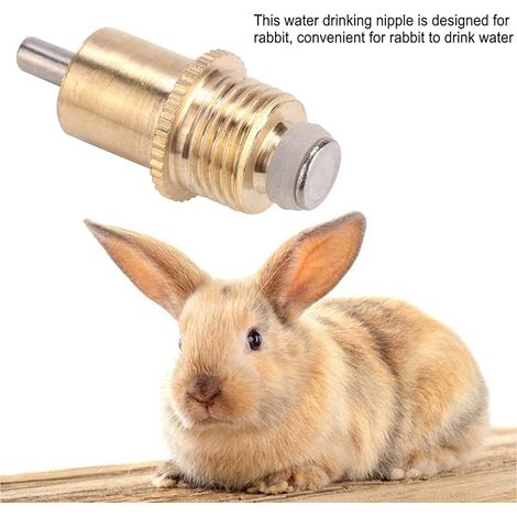 tétine d'abreuvoir pour Lapin, 1,1 0,4 po en métal Jaune, de Type Long, système d'arrosage d'eau Lapin, Accessoires Cage pour Petits Animaux (1/4)