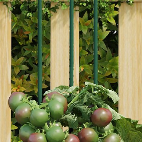 vidaXL Garden Plant Stakes 30 pcs Green 150 cm Steel