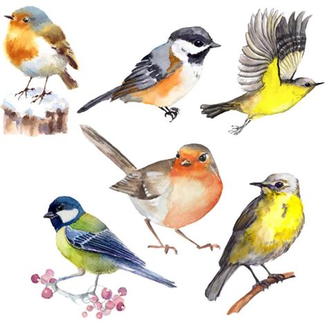 Autocollant Anti-Collision Oiseaux Pour Fenêtre Sticker Vitre Oiseaux Amovible Sans Résidu Décalcomanie De Fenêtre Décorative 6 Pièces Pour Chambre Salon Porte (1/5)