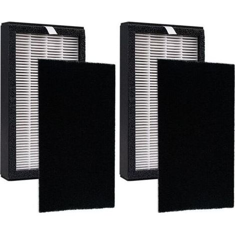 Lntyq Ensemble de filtres de rechange FLT4100 compatibles avec les purificateurs d'air GermGuardian AC4100 AC4100CA AC4150BL AC4150PCA AC4150PC AC4175W Filtre E, lot de 2 H13 HEPA (1/4)