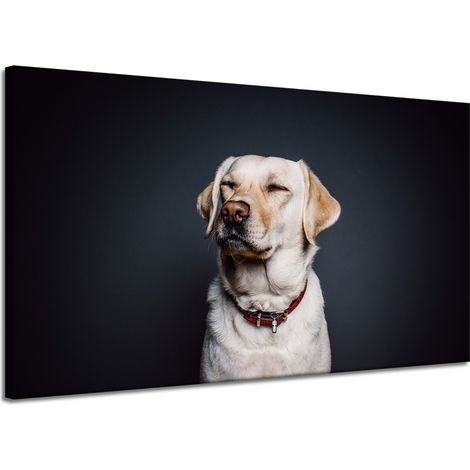 Leinwanddruck Tiere Hund Schwarzer Hintergrund 120x70