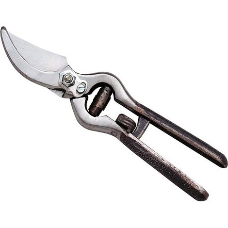Forbice da potatura ideale per vigna 21 cm
