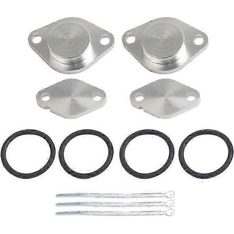 EGR Valve Plate tool For Land Rover Discovery 3 Range Rover 2.7 TDV6 3W (1/5)