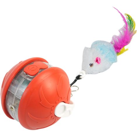 Jouet pour Animal de Compagnie Boule Roulante - Jouet de (1/5)