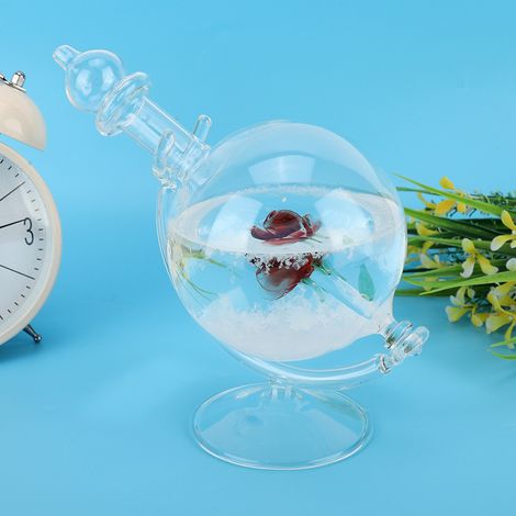 Bouteille en cristal en forme de globe terrestre, symbole de tempête, décoration et cadeau pour la maison. Prévisions météo. Cadeau idéal pour les amateurs de tempêtes de vent. (1/5)