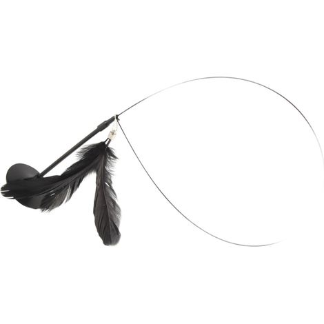Baguette à plumes pour chat, jouet d'auto-amusement résistant aux morsures, ventouse puissante, pour chaton (1/3)
