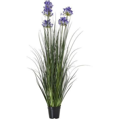 Large Agapanthus Plant in Pot - Plastic - Height 120 cm - Blue