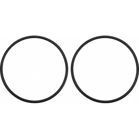 2 x O-Ring 11728 for Sand Filter 10 Inches (1/5)