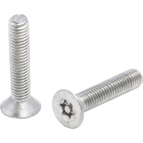 Vis de sécurité inviolable, M5 x 25mm, tête plate, en Acier Inoxydable A2 304 ( Prix pour Sachet de 50 )